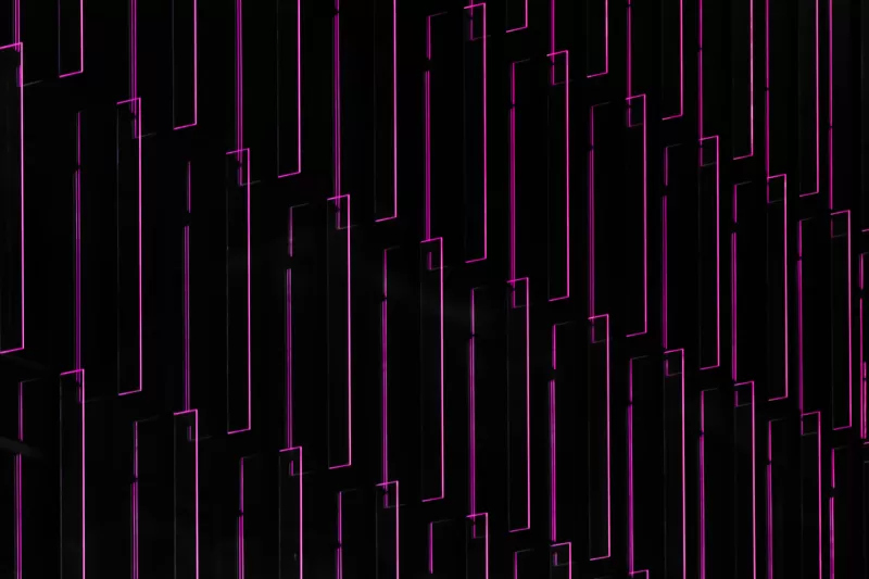 Pink neon lines wallpaper, Black background, Abstract