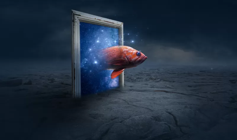 Fish through space portal, Surreal art, Galaxy frame, 5K wallpaper