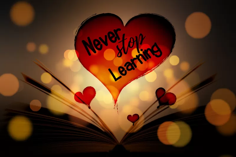 Never Stop Learning, Red hearts, Book, Love, Bokeh, 5K