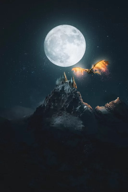 Castle, Dragon, Moon, Night