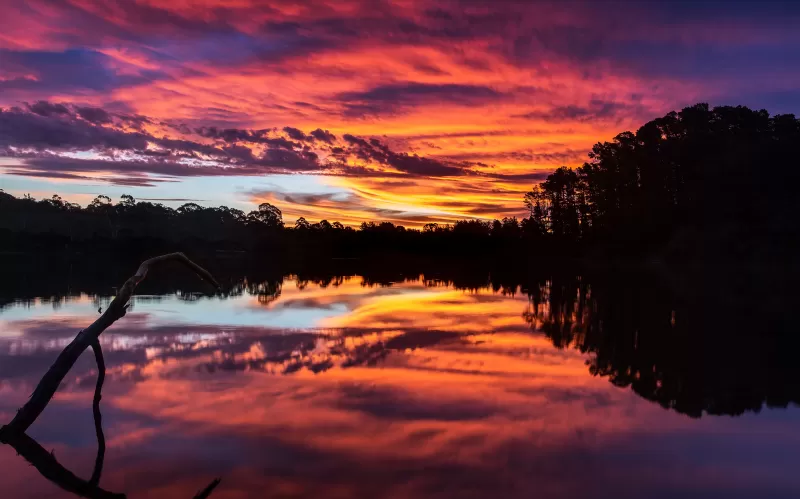Sunset, Lake, Reflections, Landscape, Scenic, Silhouette, Dusk, 5K