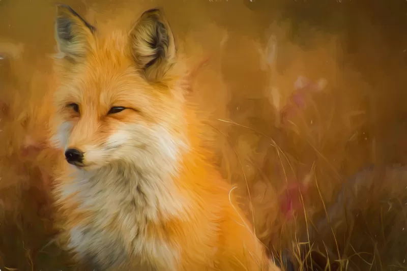 Fox Oil Painting, Animal Portrait, Artwork, Wild animal, 5K wallpaper