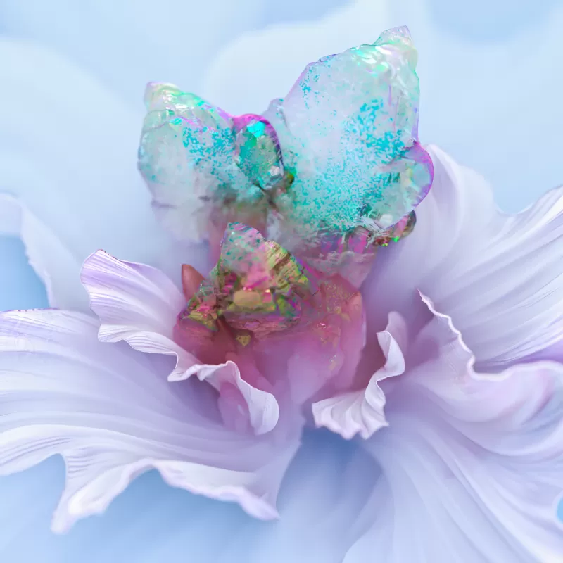 White flower, Floral Background, Colorful, 3D background, Digital Art