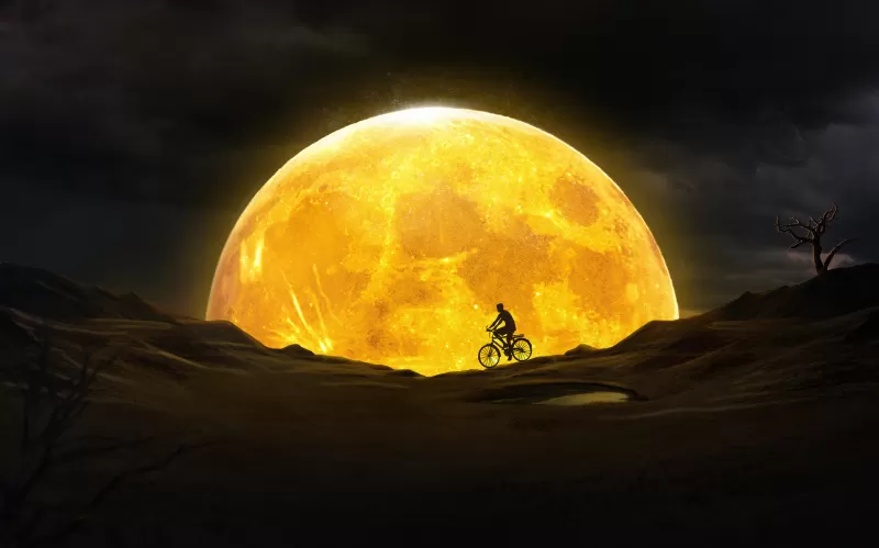 Moon, Night, Silhouette, Yellow, Dream, Surreal, Desert, Bicycle