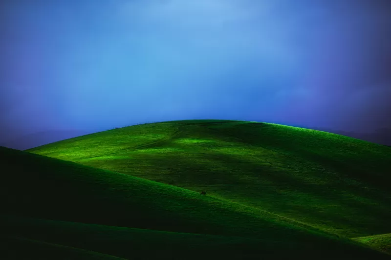 Green Meadow, Grass field, Blue Sky, Foggy, Landscape, Scenery, 5K