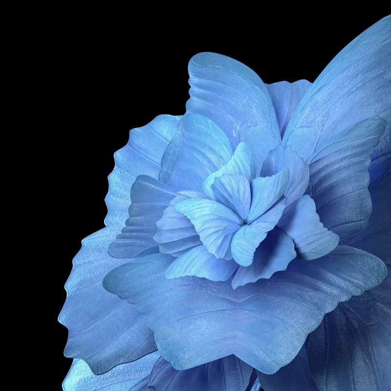 Floral Background, Blue background, Black background, Vivo Pad, Stock