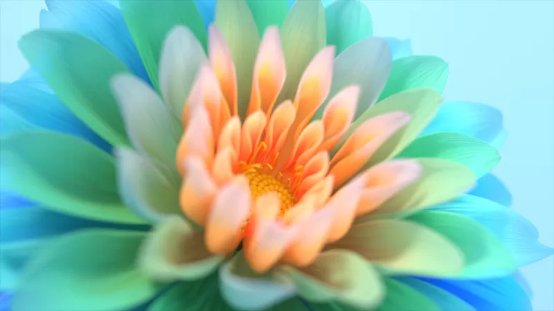 Digital lotus flower wallpaper, Teal and peach, Soft bloom