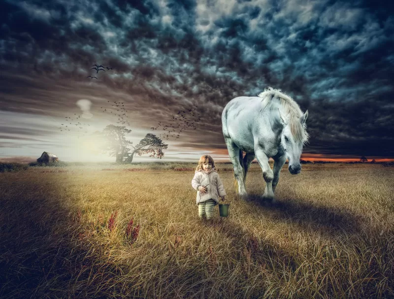 Cute girl, Countryside, White horse, Sunset, Farm Land, 5K