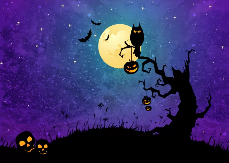 Halloween background, Halloween night, Halloween Bats, Halloween pumpkins, Moon, Purple background, Illustration