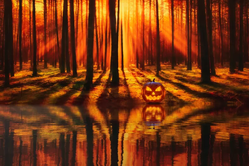 Jack-o'-lantern, Halloween Pumpkin, Forest, Lake, Reflection, Autumn Forest, Sunlight, Sunset, Trees, 5K, 8K