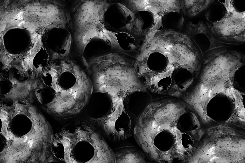 Skulls, Scary, Monochrome, 5K