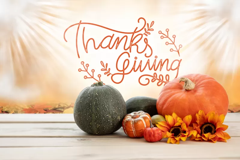 Thanksgiving Day, Happy Thanksgiving, Pumpkins, Wooden Floor, Sunflowers