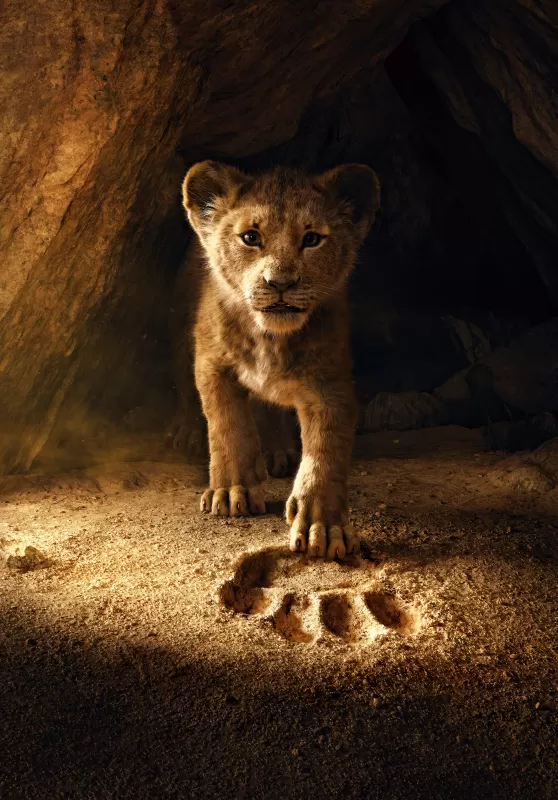 The Lion King, Simba, Lion cub, 5K wallpaper