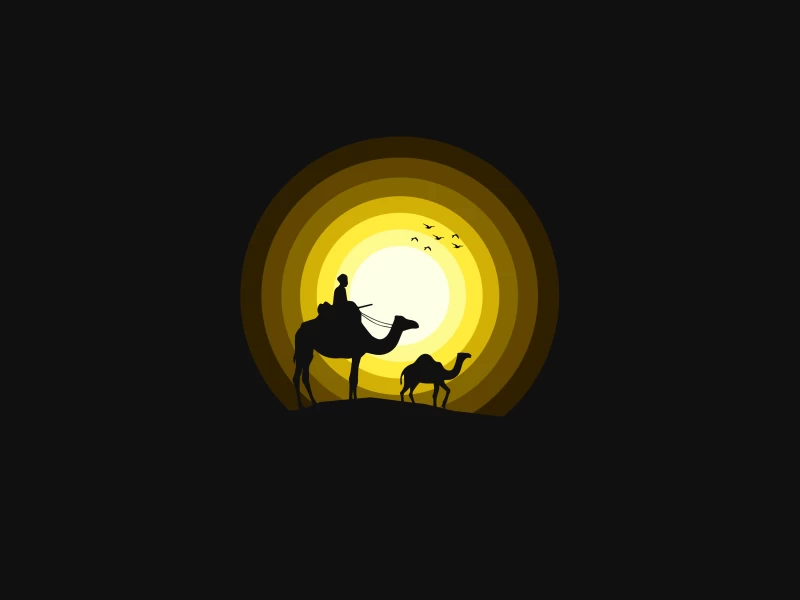 Camels, Sun, Silhouette, Yellow, Black background