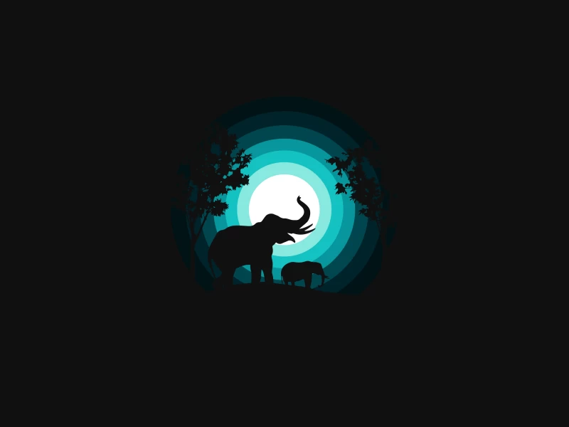 Elephant, Elephant cub, Silhouette, Night, Teal, Black background