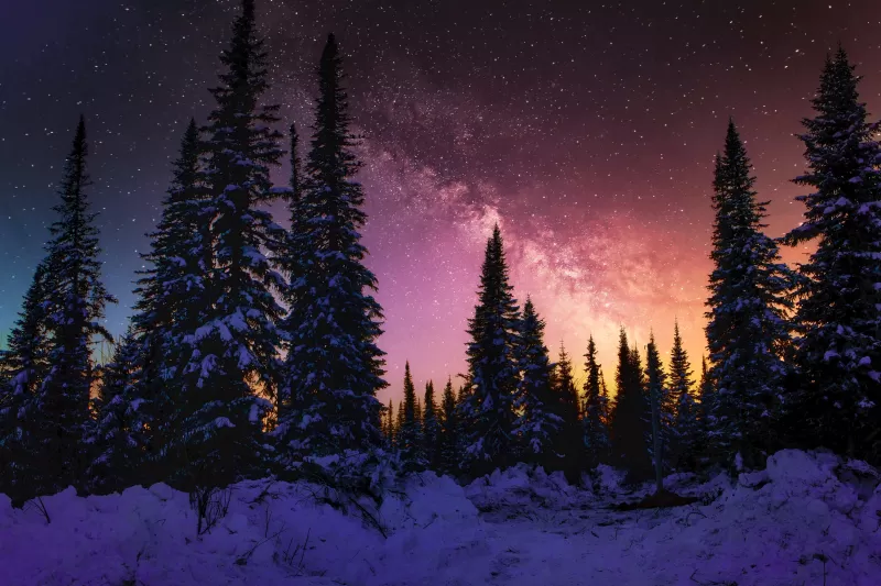 Winter, Snow covered, Pine trees, Sunset, Milky Way, 5K