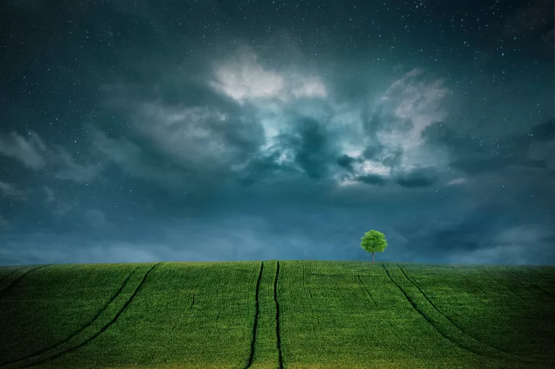 Landscape, Lone tree, Starry sky, Cloudy Sky, Green Fields, 5K, 8K