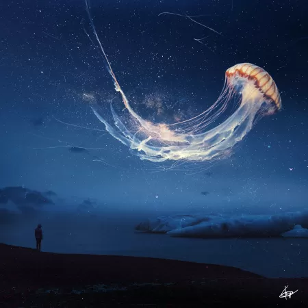 Jellyfish, Dream, Surreal, Night sky, Alone