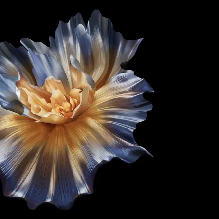 Abstract flower, Black background, Honor Magic VS, Stock