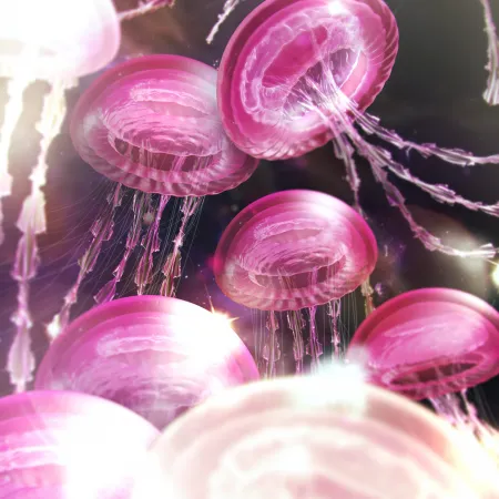 Jellyfishes, Pink aesthetic, Surreal, 5K