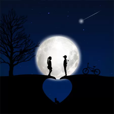Full moon, Couple, Heart, Blue background, Bicycle, Tree, Cat, Stars, Silhouette
