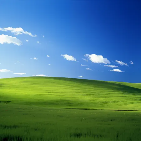 Windows XP Landscape, Bliss wallpaper, Blue Sky, Green landscape