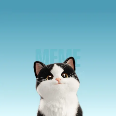Honor Magic V Flip 2, Stock wallpaper