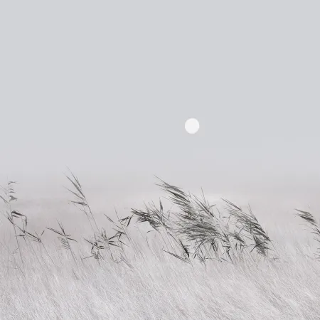 Xiaomi HyperOS 3.1 stock wallpaper