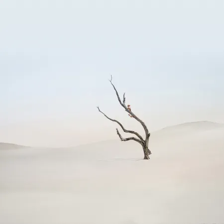 Xiaomi HyperOS 3.1 stock wallpaper