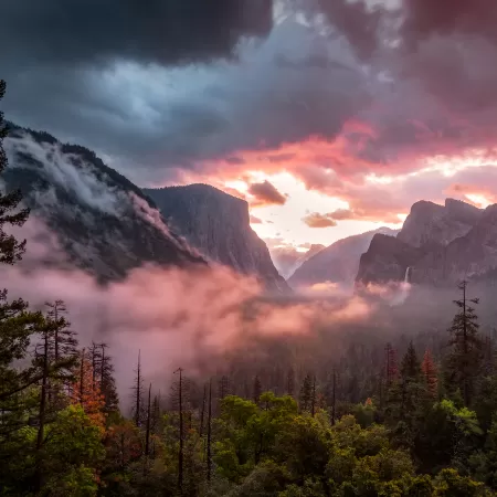 Yosemite National Park, Yosemite Valley, Misty, Morning, 5K