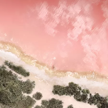Beach, Seashore, Baby pink, Aerial view, iOS 10, Stock
