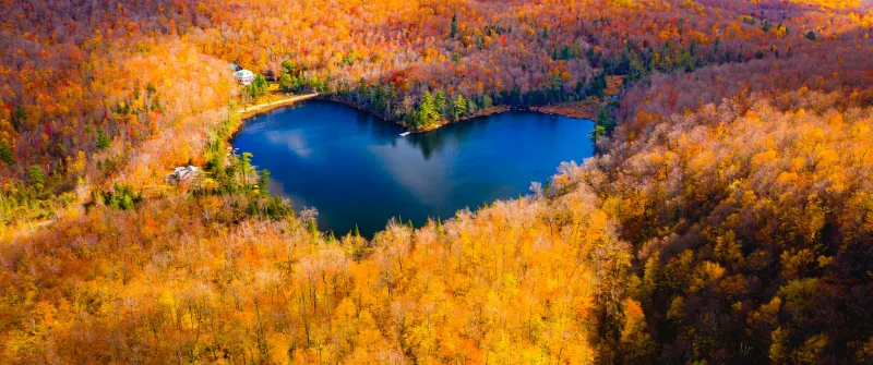 Heart Shaped Lake, Autumn Forest, Fall Colors, Aesthetic, 5K