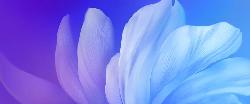 Blue flower, Gradient, Vivo Stock, Android 10