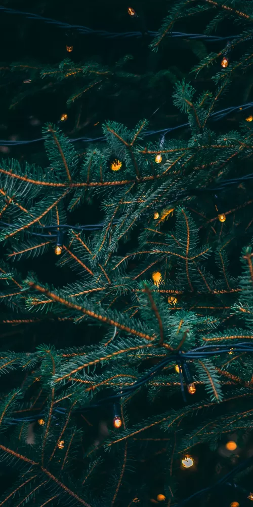 Pine trees, Decoration, LED lights, Christmas decoration, 5K, Aesthetic Christmas