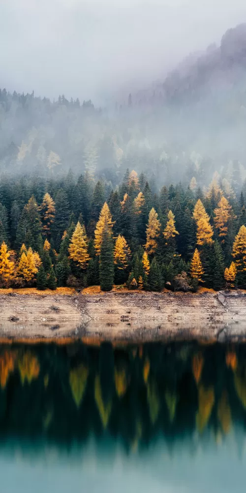 Forest, Woods, Autumn, Lake, Foggy, Mist, Fall, Reflection, 5K