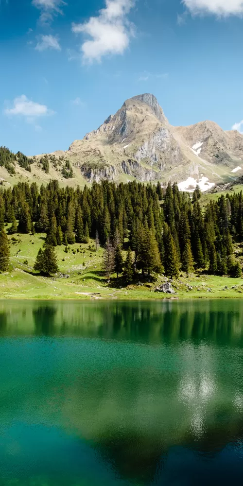 Gantrischseeli lake, Pine trees, Spring, Reflection, Mountain, Peak, Switzerland