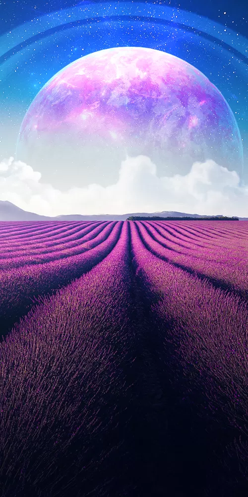 Lavender fields, Lavender farm, Landscape, Planet, Surreal, Aesthetic