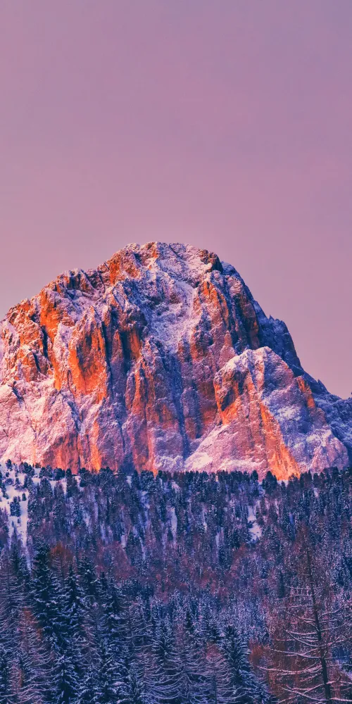 Mountain, Peak, Sunrise, Forest, Winter, Cold, 5K, 8K