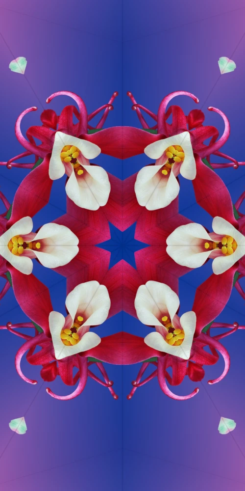 Apple iOS 17 Kaleidoscope HD Wallpaper