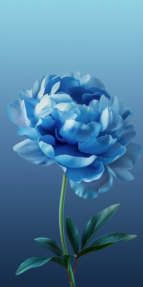 ColorOS 15, Stock wallpaper