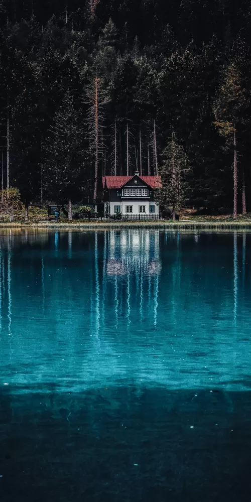 Dark Forest, House, Tall Trees, Woods, Lake, Body of Water, Reflection, Landscape, Scenery, 5K