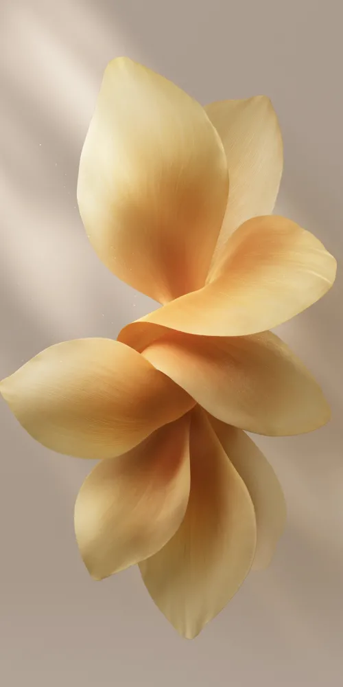 OriginOS 6, Stock wallpaper