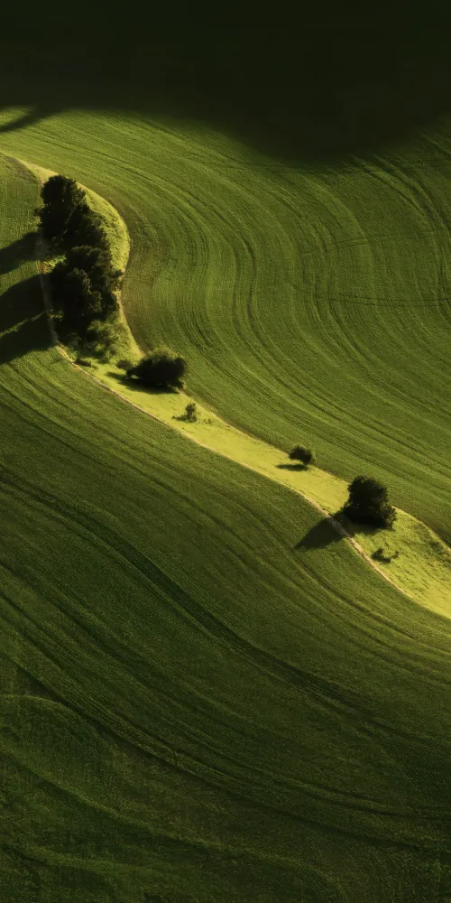 OriginOS 6, Stock wallpaper