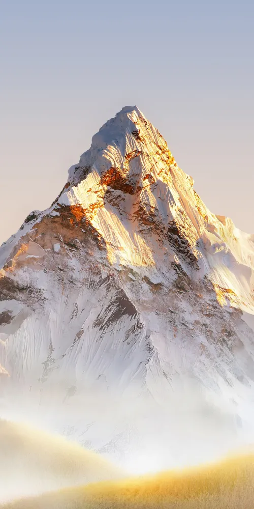 Honor Magic 8 Pro, Stock wallpaper