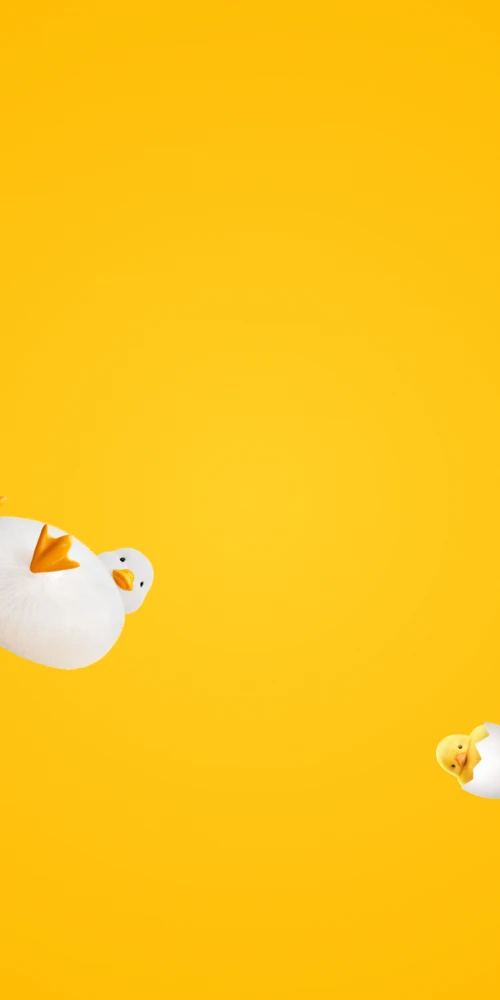 Honor Magic 8 Pro, Stock wallpaper