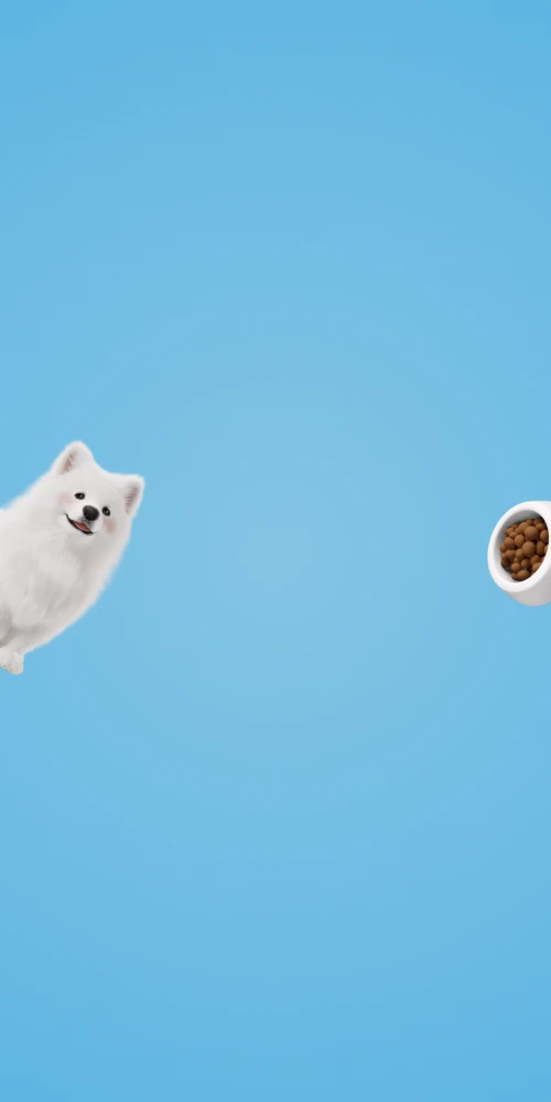 Honor Magic 8 Pro, Stock wallpaper