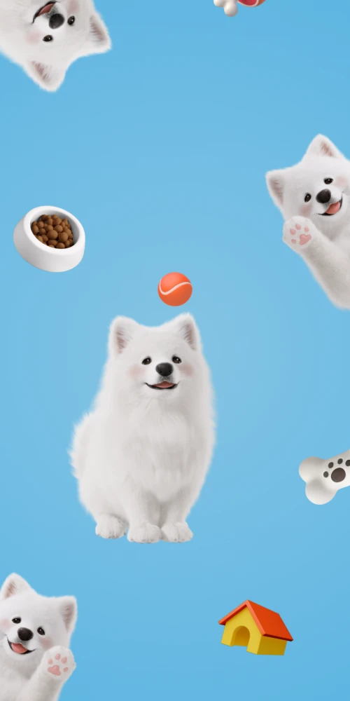 Honor Magic 8 Pro, Stock wallpaper