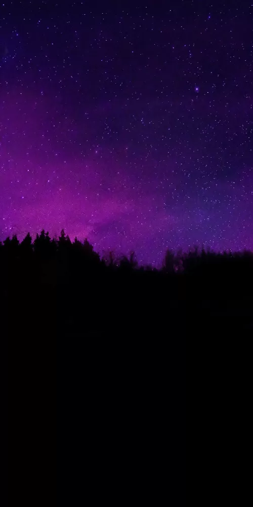 Trees, Silhouette, Purple sky, Dark background, Night sky, Stars