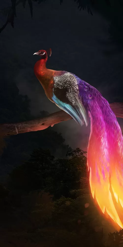 Peacock, Mythical, Fantasy, Digital Art