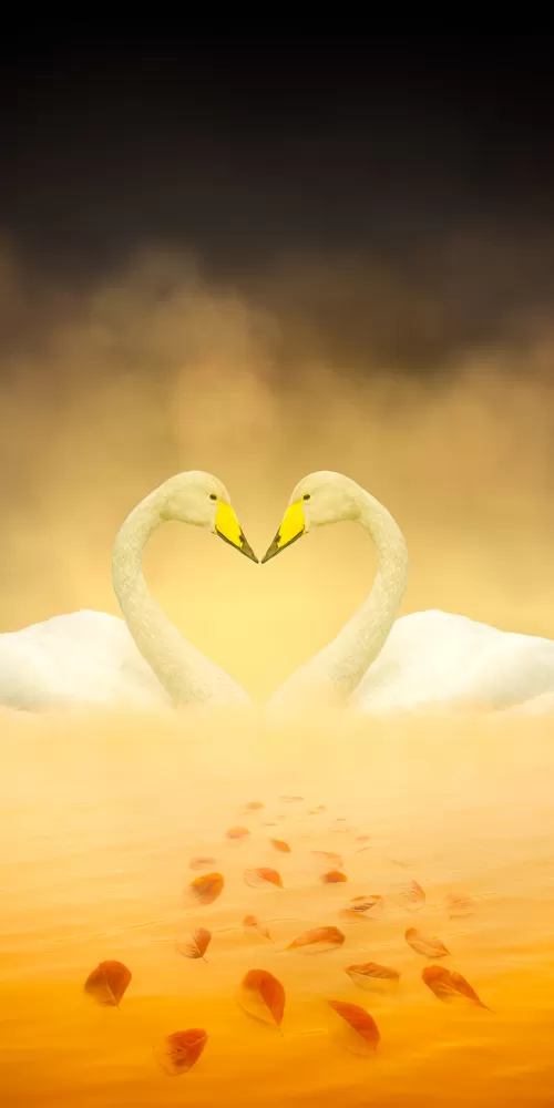 White Swan, Love Birds, Heart shape, Autumn leaves, Yellow, Digital composition